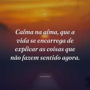 Calma na alma, que a vida se encarrega de explicar as coisas que não fazem sentido agora.