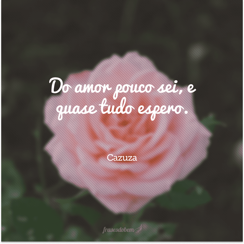 Do amor pouco sei, e quase tudo espero.