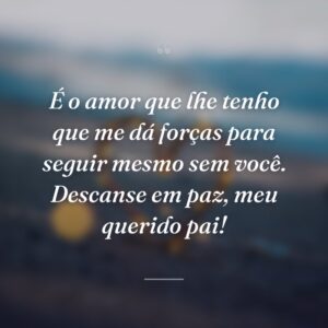 É o amor que lhe tenho que me dá forças para seguir mesmo sem você. Descanse em paz, meu querido pai!