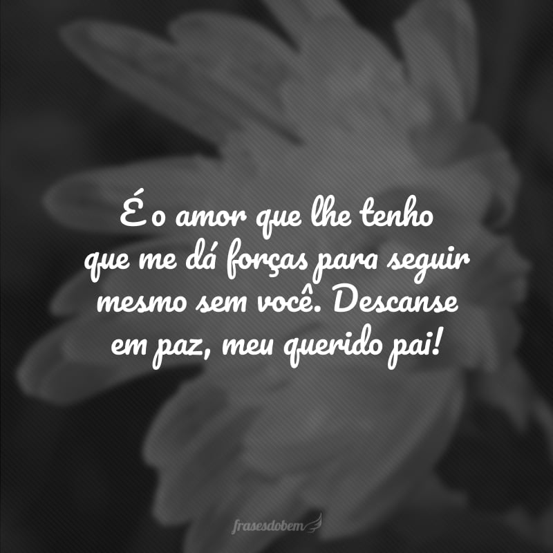 É o amor que lhe tenho que me dá forças para seguir mesmo sem você. Descanse em paz, meu querido pai!