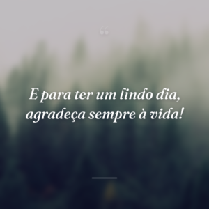 E para ter um lindo dia, agradeça sempre à vida!