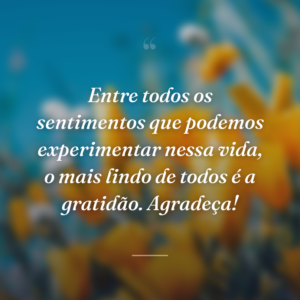 Entre todos os sentimentos que podemos experimentar nessa vida, o mais lindo de todos é a gratidão. Agradeça!