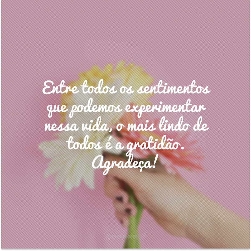 Entre todos os sentimentos que podemos experimentar nessa vida, o mais lindo de todos é a gratidão. Agradeça!