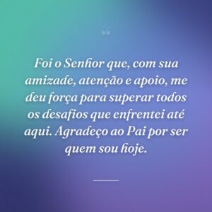 Foi o Senhor que, com sua amizade, atenção e apoio, me deu força para superar todos os desafios que enfrentei até aqui. Agradeço ao Pai por ser quem sou hoje.