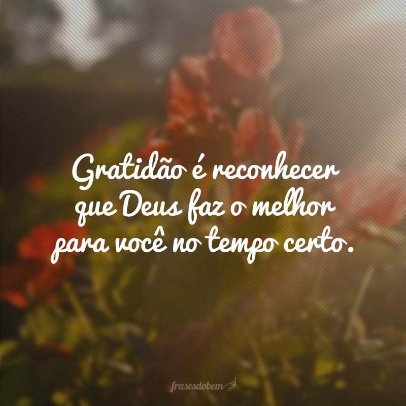 Gratidão é reconhecer que Deus faz o melhor para você no tempo certo.