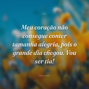 Meu coração não consegue conter tamanha alegria, pois o grande dia chegou. Vou ser tia!