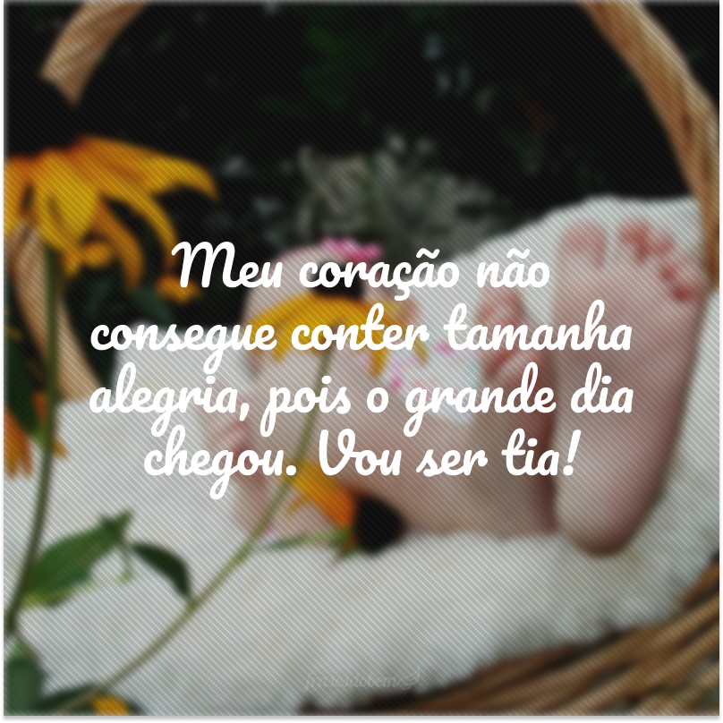 Meu coração não consegue conter tamanha alegria, pois o grande dia chegou. Vou ser tia!