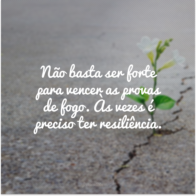 Não basta ser forte para vencer as provas de fogo. Às vezes é preciso ter resiliência.