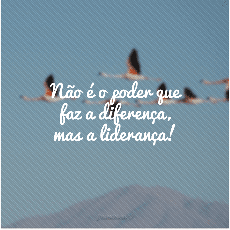 Não é o poder que faz a diferença, mas a liderança!