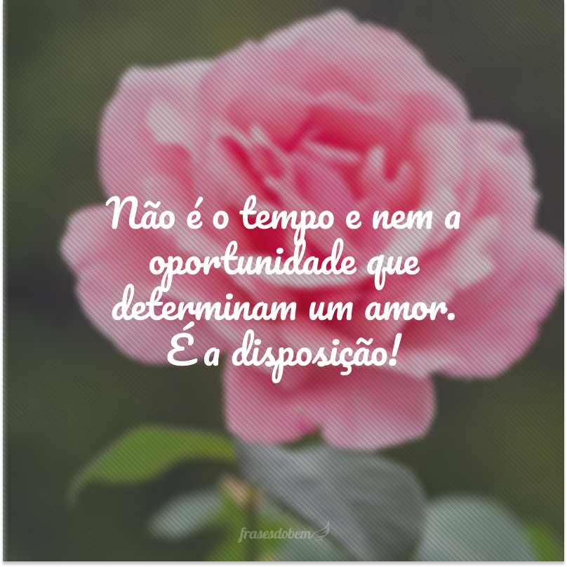 Não é o tempo e nem a oportunidade que determinam um amor. É a disposição!