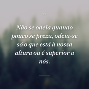 Não se odeia quando pouco se preza, odeia-se só o que está à nossa altura ou é superior a nós.