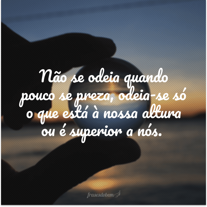 Não se odeia quando pouco se preza, odeia-se só o que está à nossa altura ou é superior a nós.