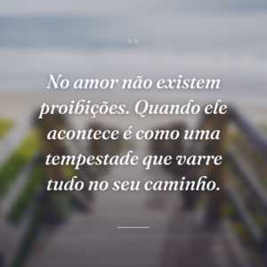 No amor não existem proibições. Quando ele acontece é como uma tempestade que varre tudo no seu caminho.
