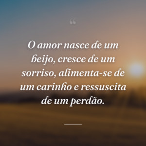 O amor nasce de um beijo, cresce de um sorriso, alimenta-se de um carinho e ressuscita de um perdão.