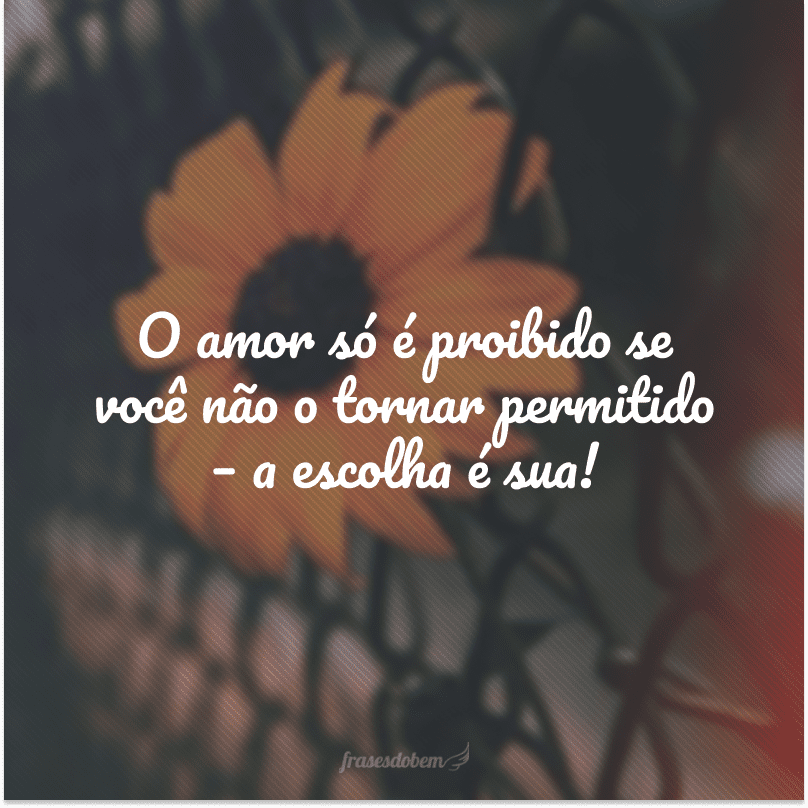 O amor só é proibido se você não o tornar permitido – a escolha é sua!