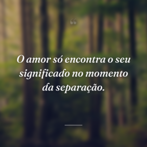 O amor só encontra o seu significado no momento da separação.
