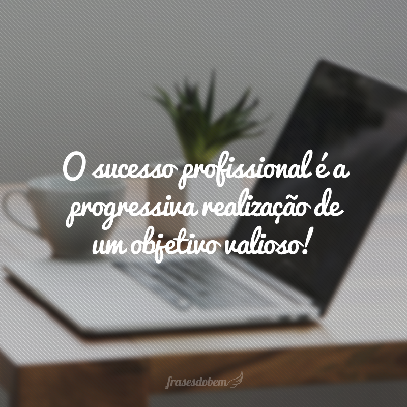 O sucesso profissional é a progressiva realização de um objetivo valioso!