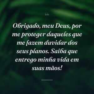 Obrigado, meu Deus, por me proteger daqueles que me fazem duvidar dos seus planos. Saiba que entrego minha vida em suas mãos!