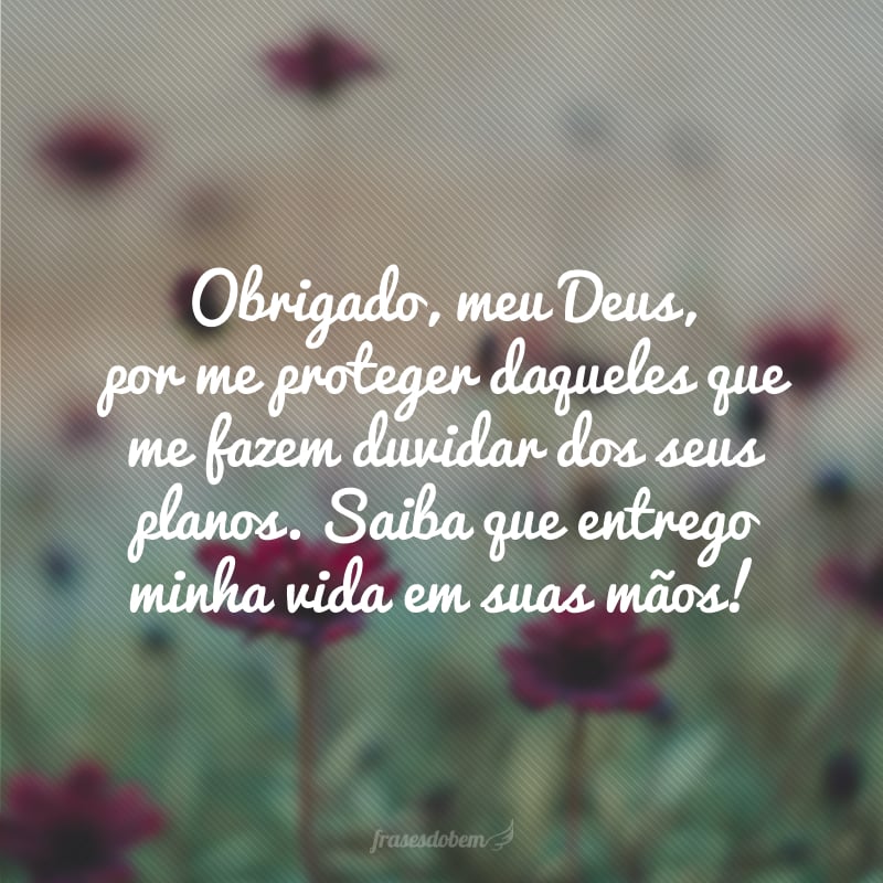 Obrigado, meu Deus, por me proteger daqueles que me fazem duvidar dos seus planos. Saiba que entrego minha vida em suas mãos!