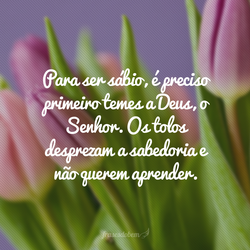 Para ser sábio, é preciso primeiro temes a Deus, o Senhor. Os tolos desprezam a sabedoria e não querem aprender. 