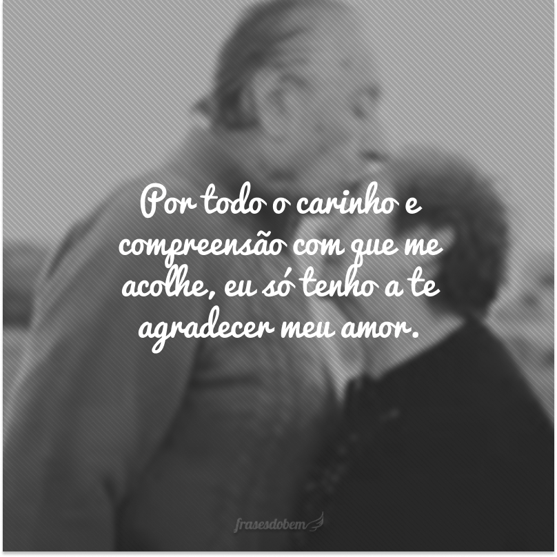 Por todo o carinho e compreensão com que me acolhe, eu só tenho a te agradecer meu amor.