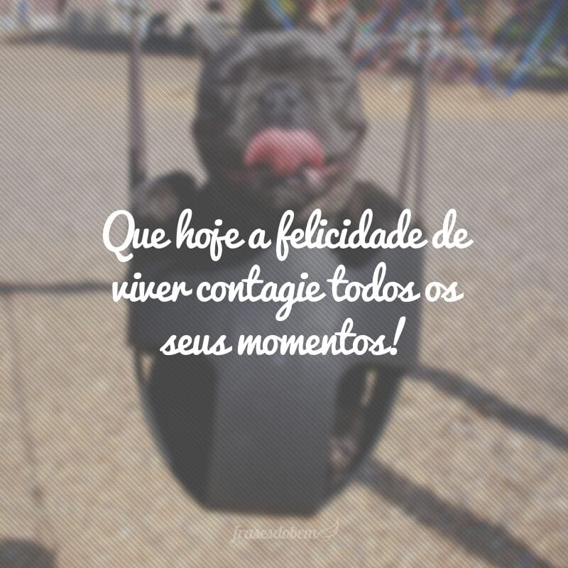 Que hoje a felicidade de viver contagie todos os seus momentos!