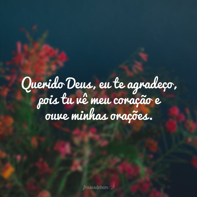 Querido Deus, eu te agradeço, pois tu vê meu coração e ouve minhas orações.