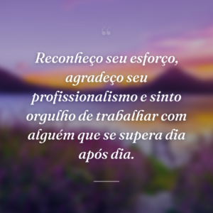 Reconheço seu esforço, agradeço seu profissionalismo e sinto orgulho de trabalhar com alguém que se supera dia após dia.