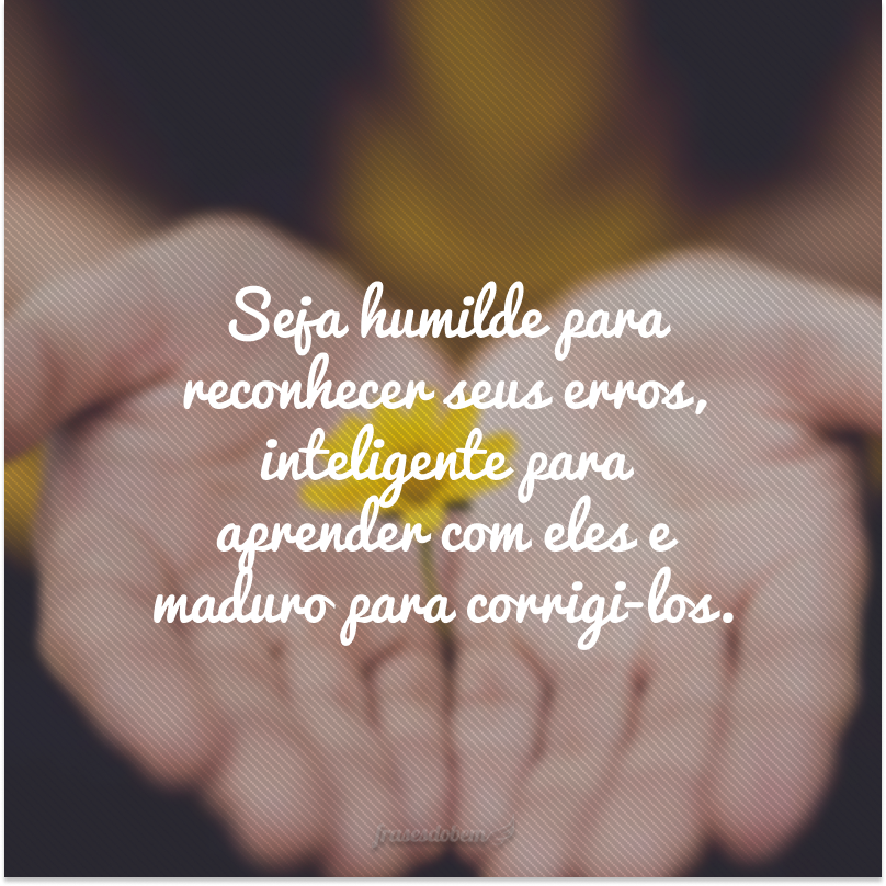 Seja humilde para reconhecer seus erros, inteligente para aprender com eles e maduro para corrigi-los.