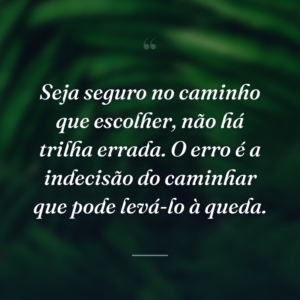 Seja seguro no caminho que escolher, não há trilha errada. O erro é a indecisão do caminhar que pode levá-lo à queda.