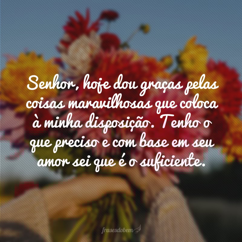 Senhor, hoje dou graças pelas coisas maravilhosas que coloca à minha disposição. Tenho o que preciso e com base em seu amor sei que é o suficiente.