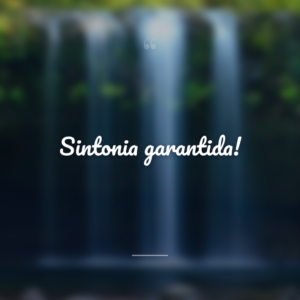 Sintonia garantida!