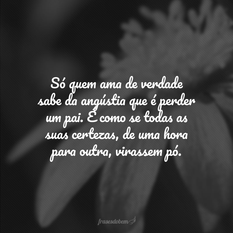 Só quem ama de verdade sabe da angústia que é perder um pai. É como se todas as suas certezas, de uma hora para outra, virassem pó.