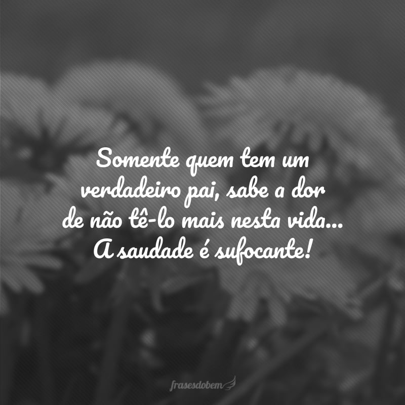 Somente quem tem um verdadeiro pai, sabe a dor de não tê-lo mais nesta vida... A saudade é sufocante!