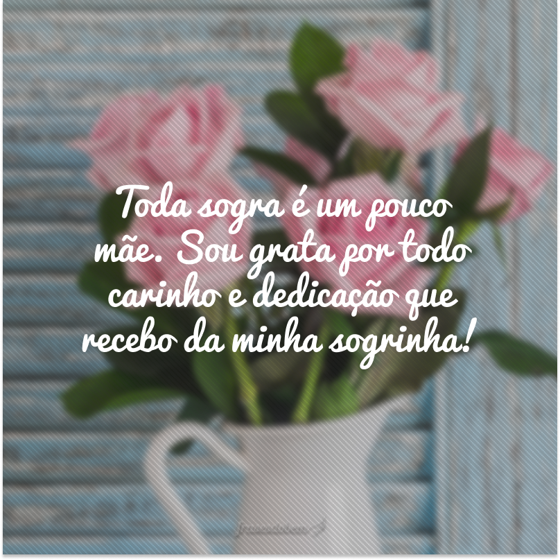 Toda sogra é um pouco mãe. Sou grata por todo carinho e dedicação que recebo da minha sogrinha!