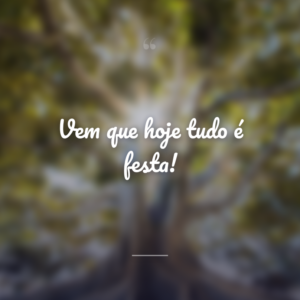 Vem que hoje tudo é festa!