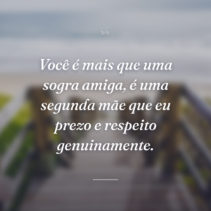 Você é mais que uma sogra amiga, é uma segunda mãe que eu prezo e respeito genuinamente.