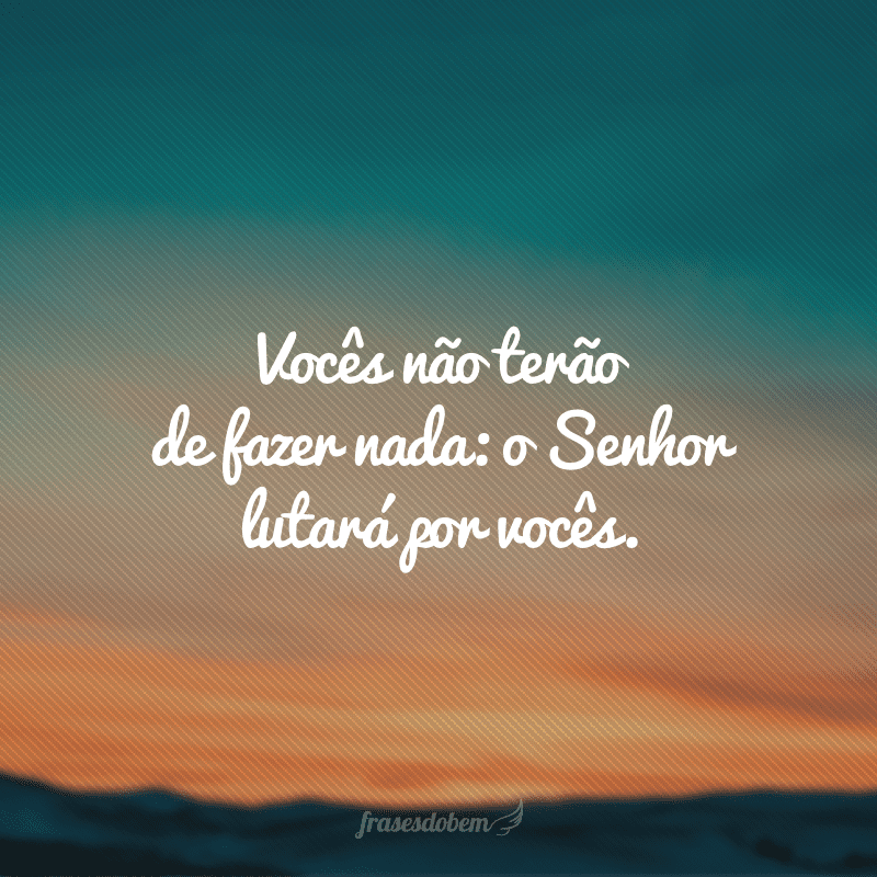 Vocês não terão de fazer nada: o Senhor lutará por vocês. 