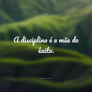 A disciplina é a mãe do êxito.