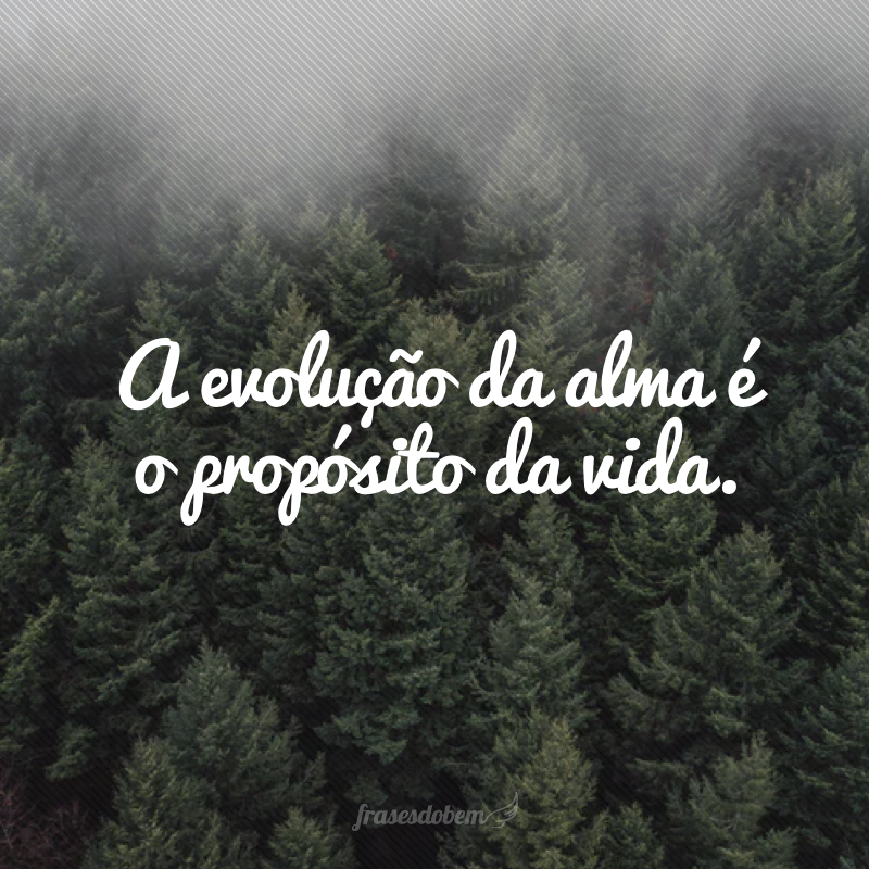 A evolução da alma é o propósito da vida.