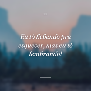 Eu tô bebendo pra esquecer, mas eu tô lembrando!