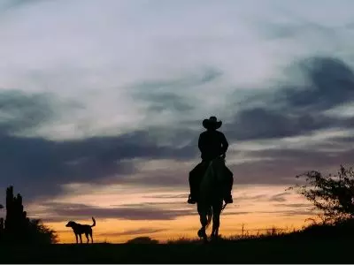 40 frases de cowboy para quem é bruto, rústico e sistemático
