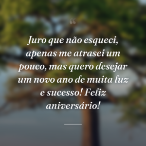 Juro que não esqueci, apenas me atrasei um pouco, mas quero desejar um novo ano de muita luz e sucesso! Feliz aniversário!