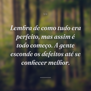 Lembra de como tudo era perfeito, mas assim é todo começo. A gente esconde os defeitos até se conhecer melhor.