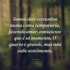 Somos dois estranhos numa cama temporária, fazendo amor, consciente que é só momento. O quarto é grande, mas não cabe sentimento.