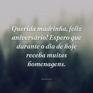 Querida madrinha, feliz aniversário! Espero que durante o dia de hoje receba muitas homenagens.