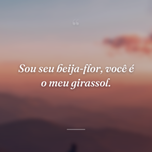 Sou seu beija-flor, você é o meu girassol.