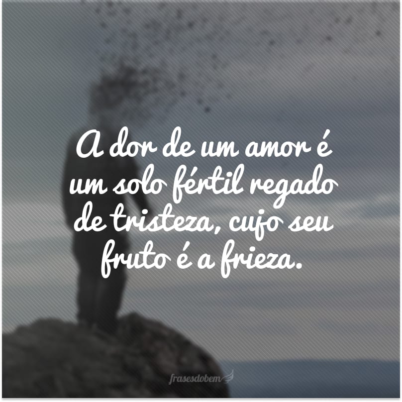 A dor de um amor é um solo fértil regado de tristeza, cujo seu fruto é a frieza.