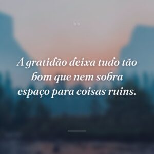 A gratidão deixa tudo tão bom que nem sobra espaço para coisas ruins.