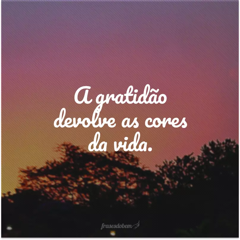 A gratidão devolve as cores da vida.